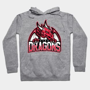 Fire Dragons Hoodie